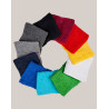 Serviette invité FT100GN Fair Towel